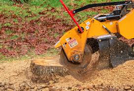 Leaf Removal in Demarest, NJ